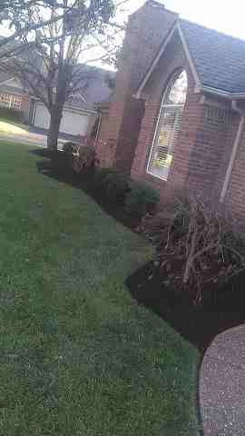 Alberto Alavez Professional Lawn Services LLC 4 by Alberto Alavez Professional Lawn Services LLC - Photo 40