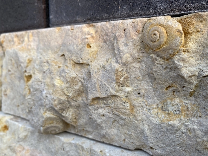Fossils Refined by Four Of Six Landscape - Photo 5