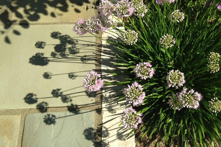 Bristol Bluestone by Four Of Six Landscape - Photo 3