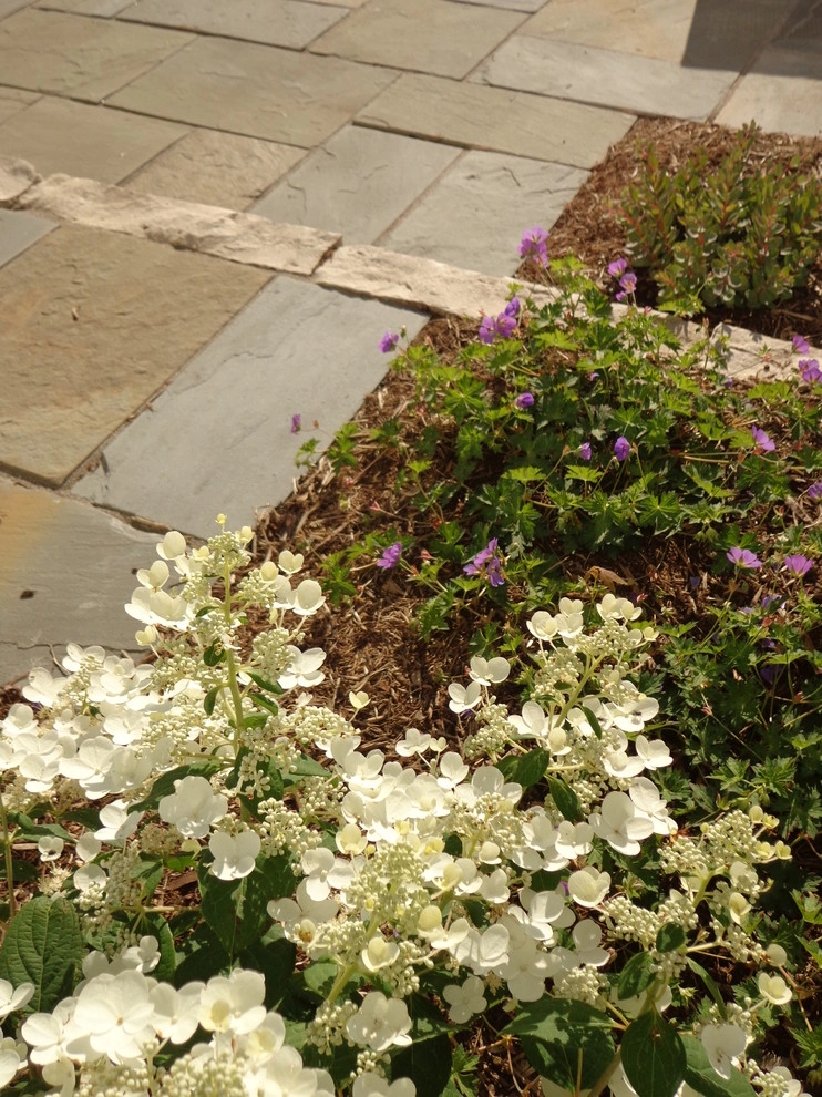 Bristol Bluestone by Four Of Six Landscape - Photo 6