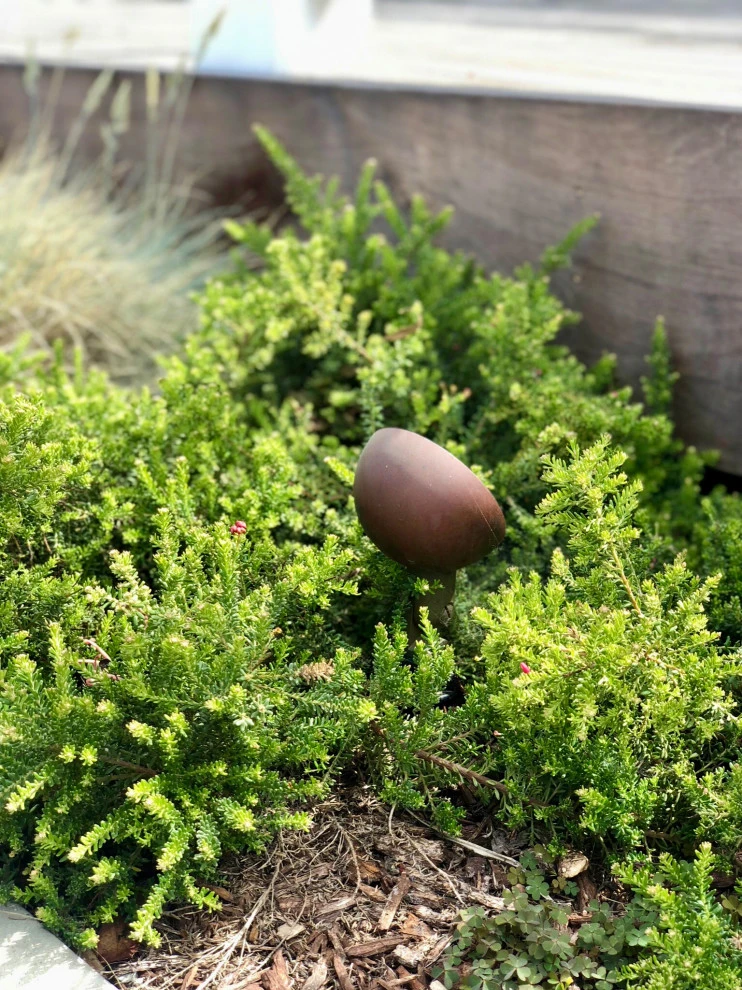 Beachside Curb Appeal by Wildflower Landscape Design At K&D Landscaping - Photo 5
