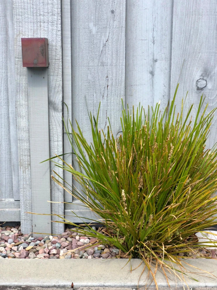Beachside Curb Appeal by Wildflower Landscape Design At K&D Landscaping - Photo 14