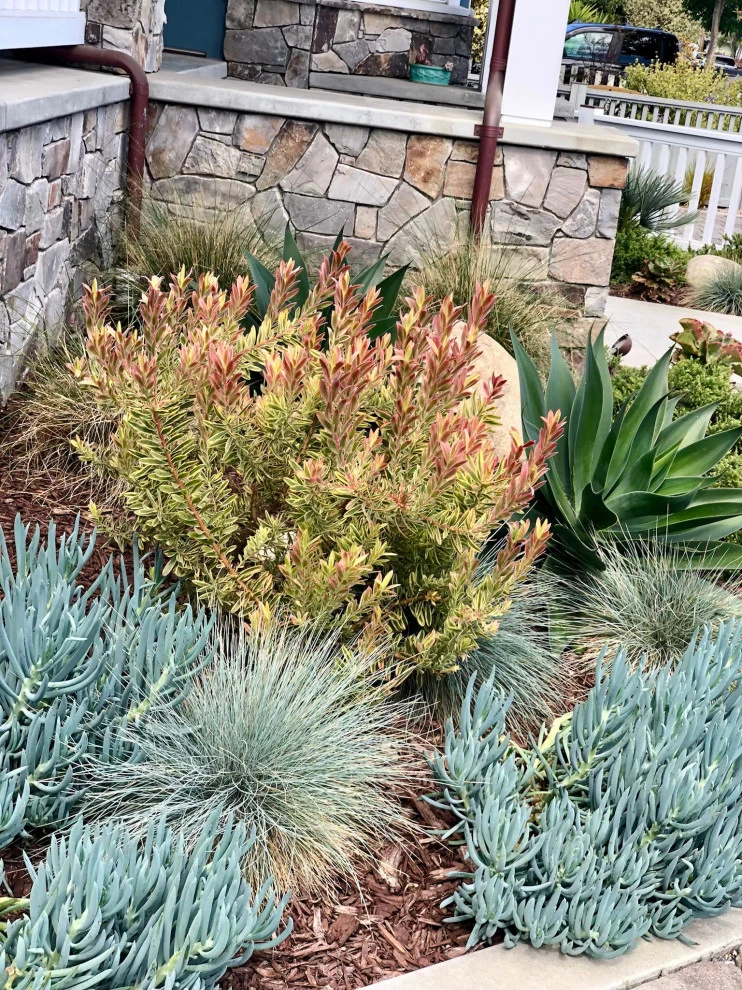 Beachside Curb Appeal by Wildflower Landscape Design At K&D Landscaping - Photo 11