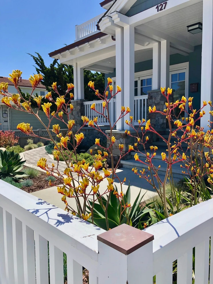 Beachside Curb Appeal by Wildflower Landscape Design At K&D Landscaping - Photo 2