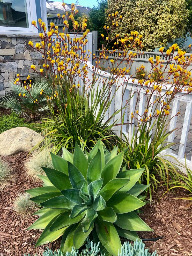Beachside Curb Appeal by Wildflower Landscape Design At K&D Landscaping - Photo 13
