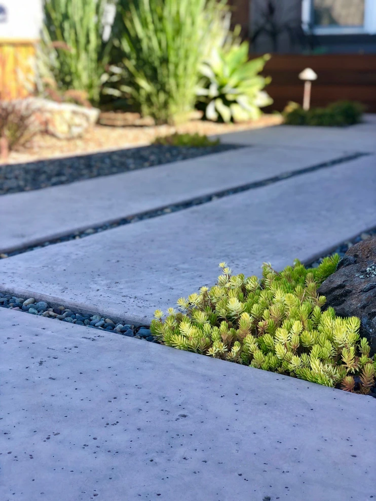 Mid-Century Modern Beach House by Wildflower Landscape Design At K&D Landscaping - Photo 2