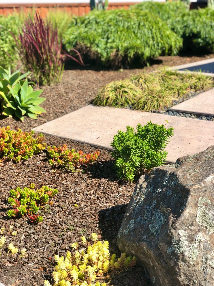 Mid-Century Modern Beach House by Wildflower Landscape Design At K&D Landscaping - Photo 7