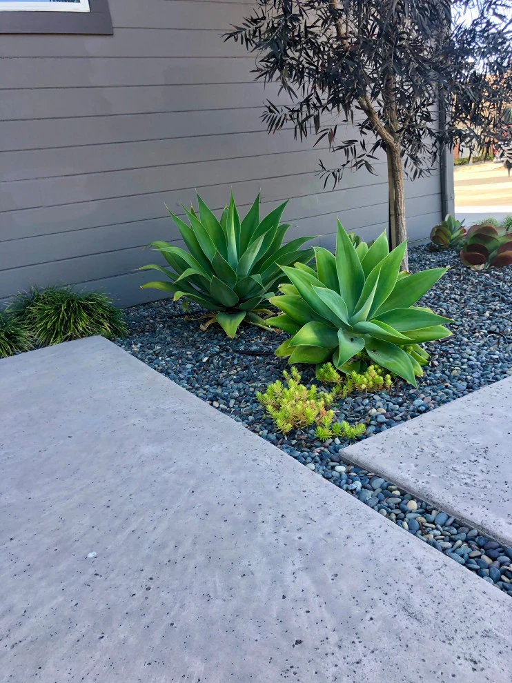 Mid-Century Modern Beach House by Wildflower Landscape Design At K&D Landscaping - Photo 4