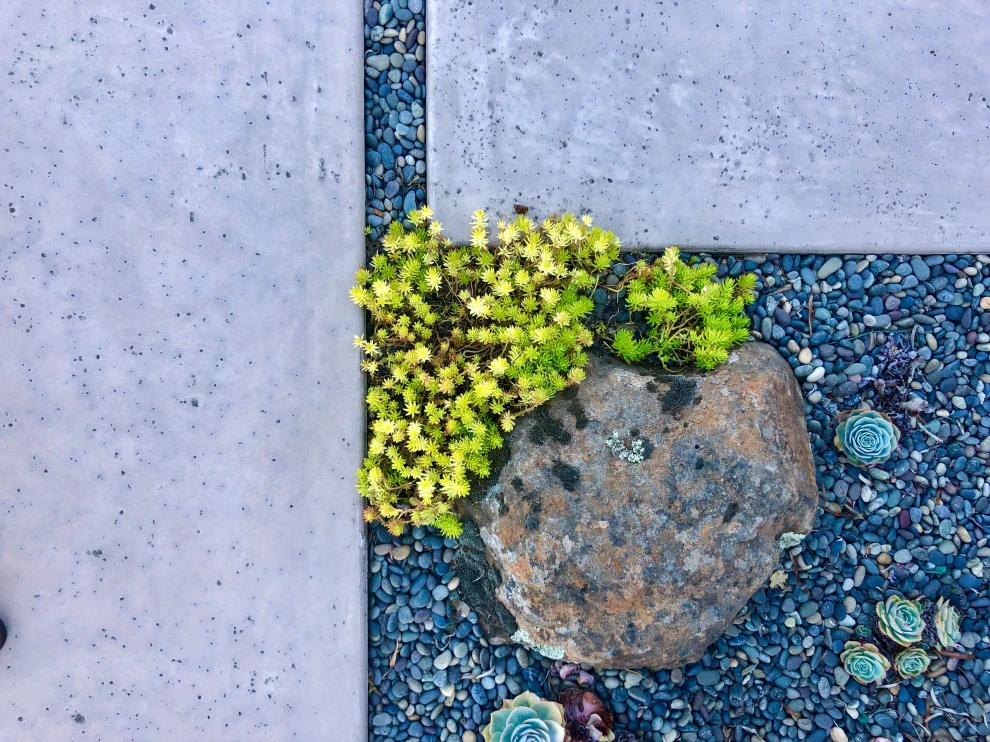 Mid-Century Modern Beach House by Wildflower Landscape Design At K&D Landscaping - Photo 12