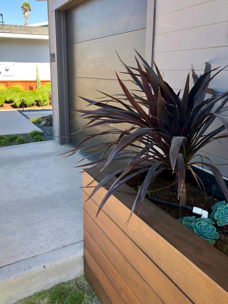 Mid-Century Modern Beach House by Wildflower Landscape Design At K&D Landscaping - Photo 3