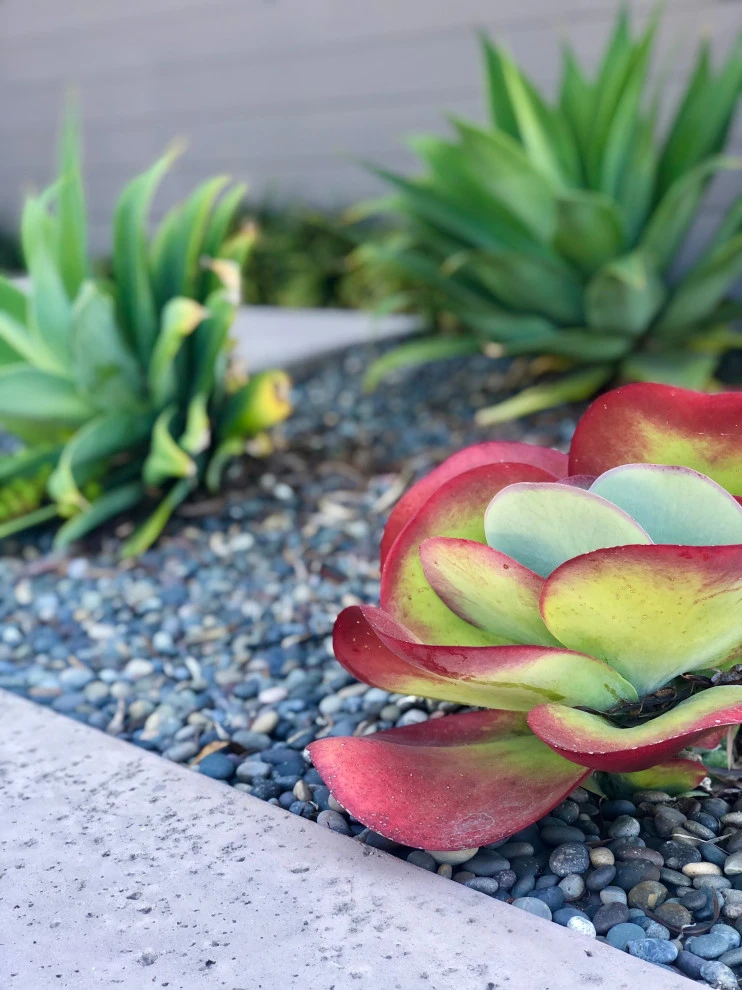 Mid-Century Modern Beach House by Wildflower Landscape Design At K&D Landscaping - Photo 13
