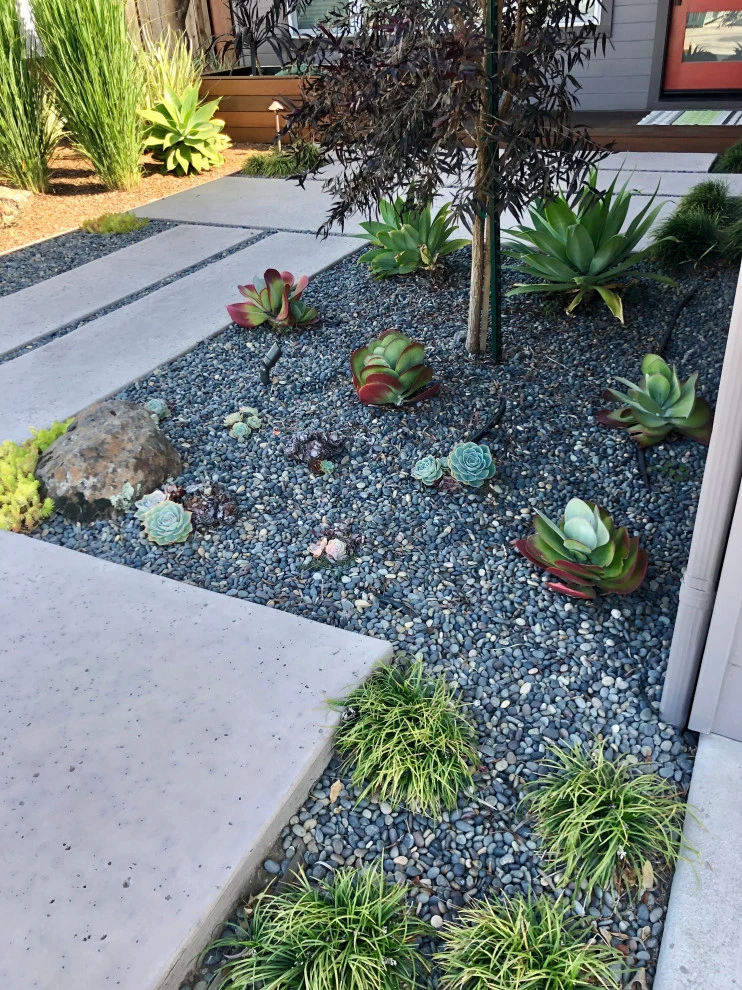 Mid-Century Modern Beach House by Wildflower Landscape Design At K&D Landscaping - Photo 9