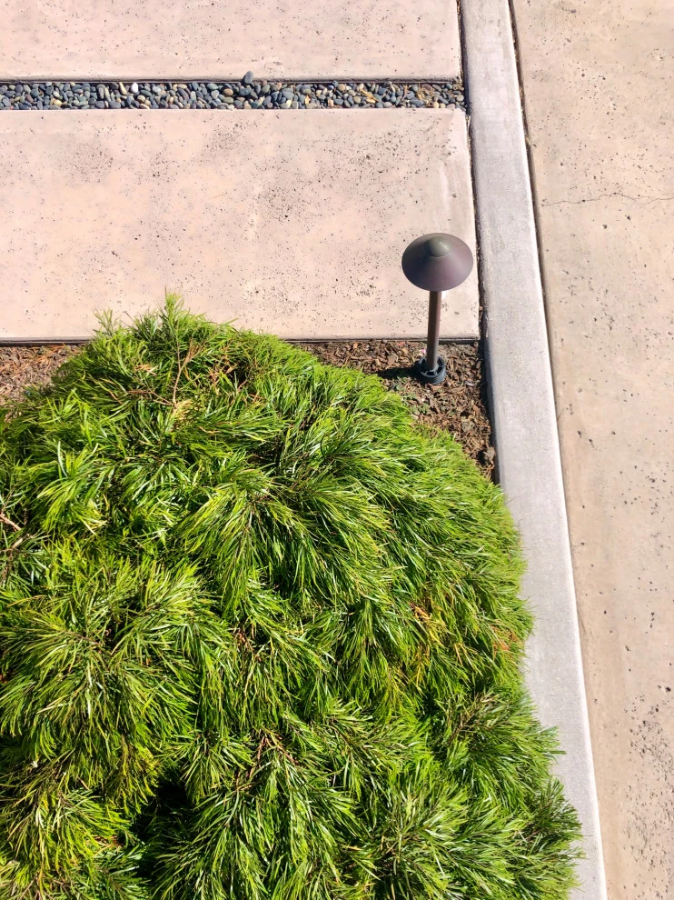 Mid-Century Modern Beach House by Wildflower Landscape Design At K&D Landscaping - Photo 10