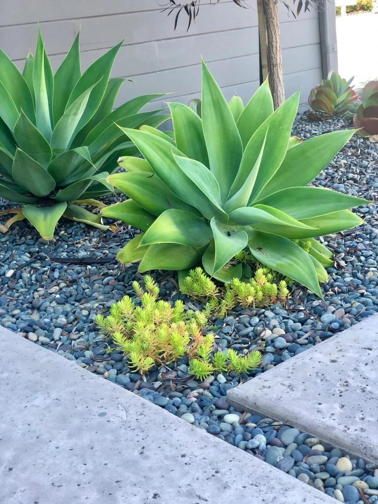 Wildflower Landscape Design At K&D Landscaping - Photo 5