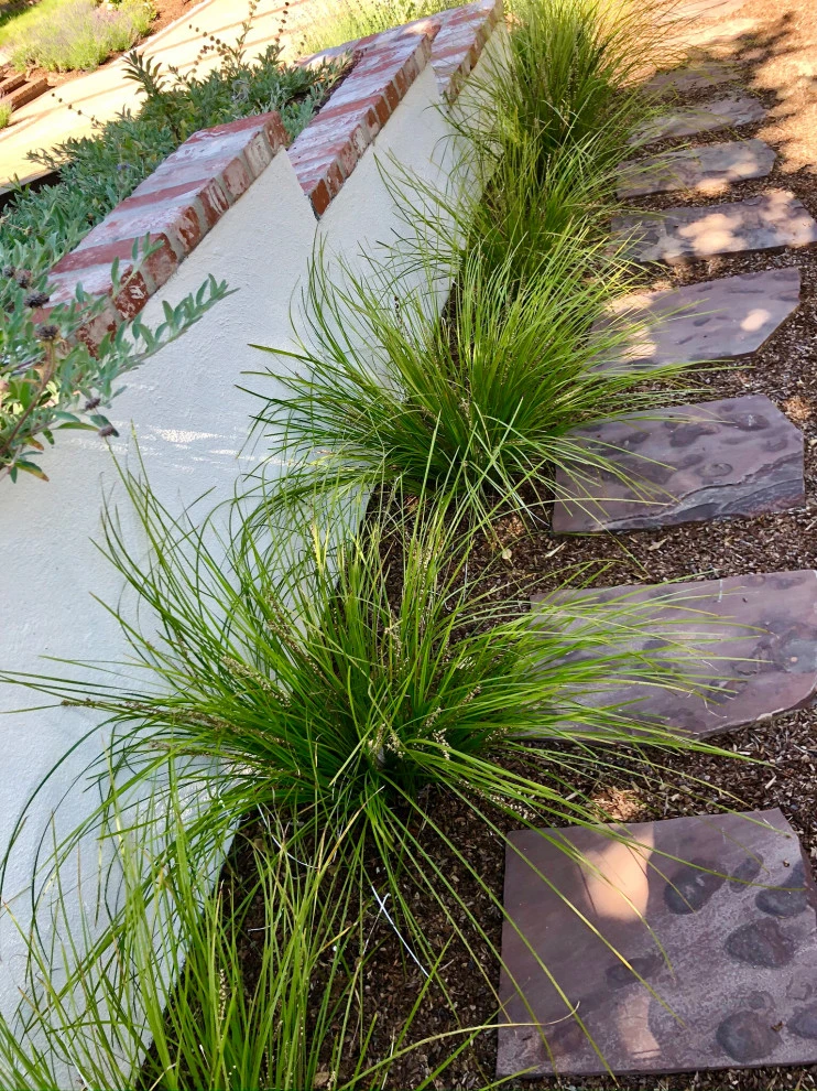 Updated Scotts Valley Estate by Wildflower Landscape Design At K&D Landscaping - Photo 10