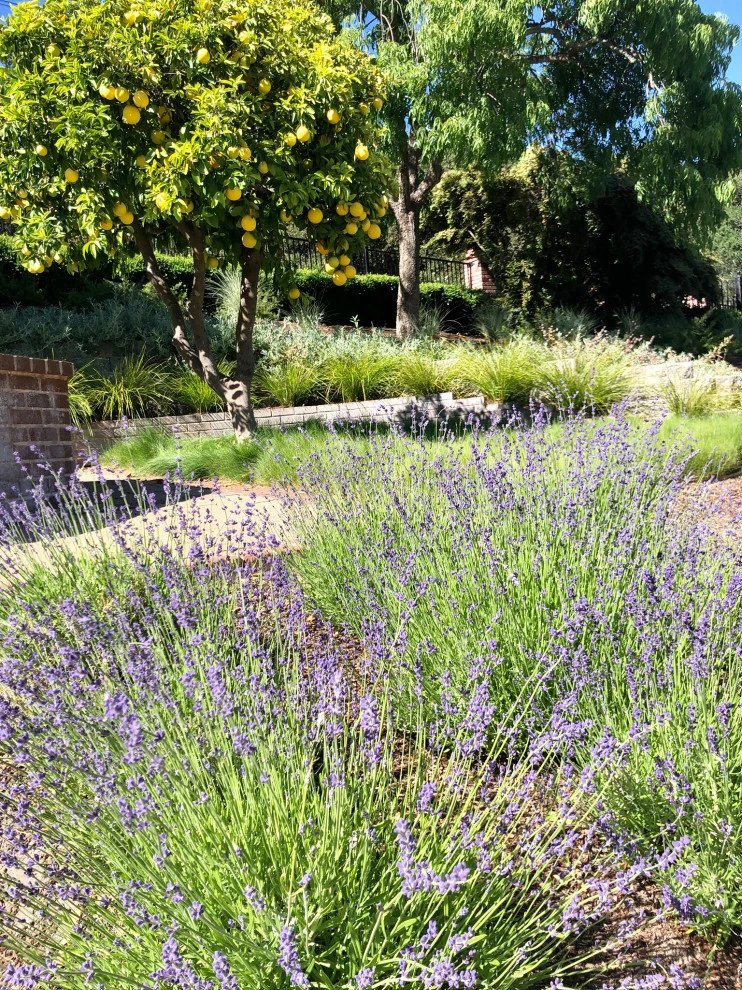 Updated Scotts Valley Estate by Wildflower Landscape Design At K&D Landscaping - Photo 6