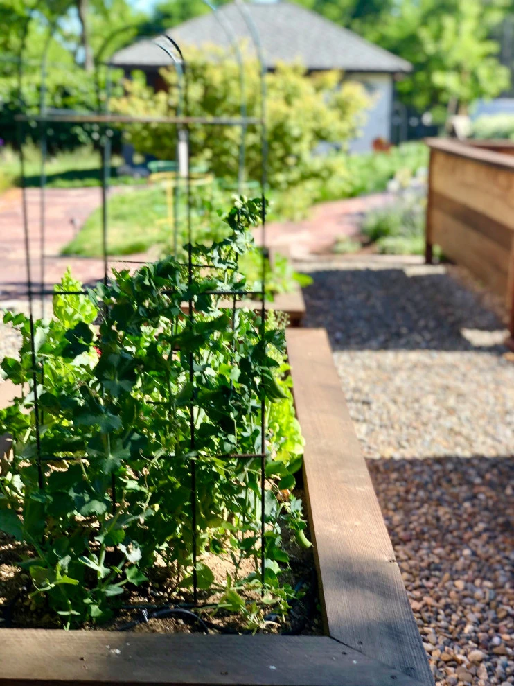 Updated Scotts Valley Estate by Wildflower Landscape Design At K&D Landscaping - Photo 8
