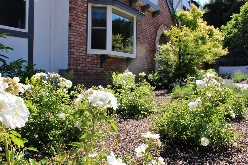 Updated Scotts Valley Estate by Wildflower Landscape Design At K&D Landscaping - Photo 3