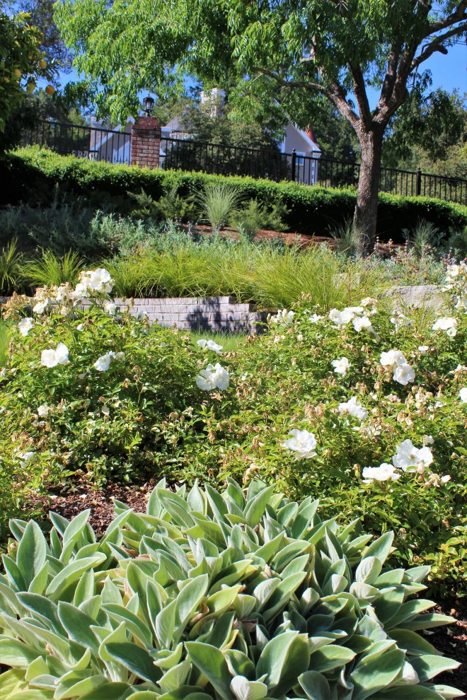 Updated Scotts Valley Estate by Wildflower Landscape Design At K&D Landscaping - Photo 5