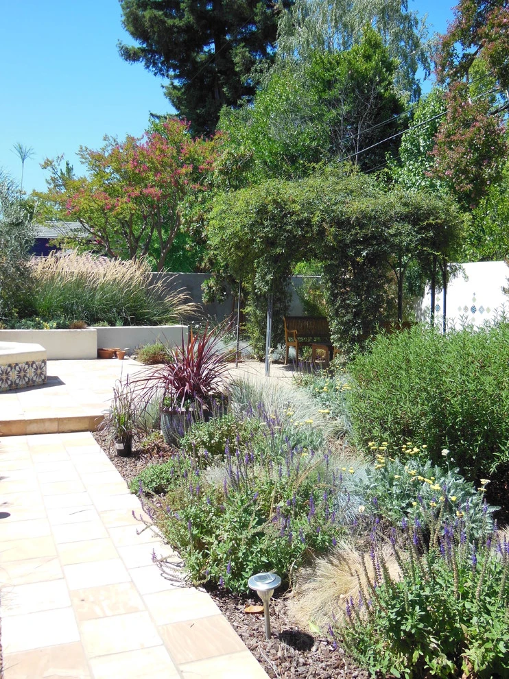 Sacramento Mediterranean Garden-Back Yard by Wildflower Landscape Design At K&D Landscaping - Photo 5