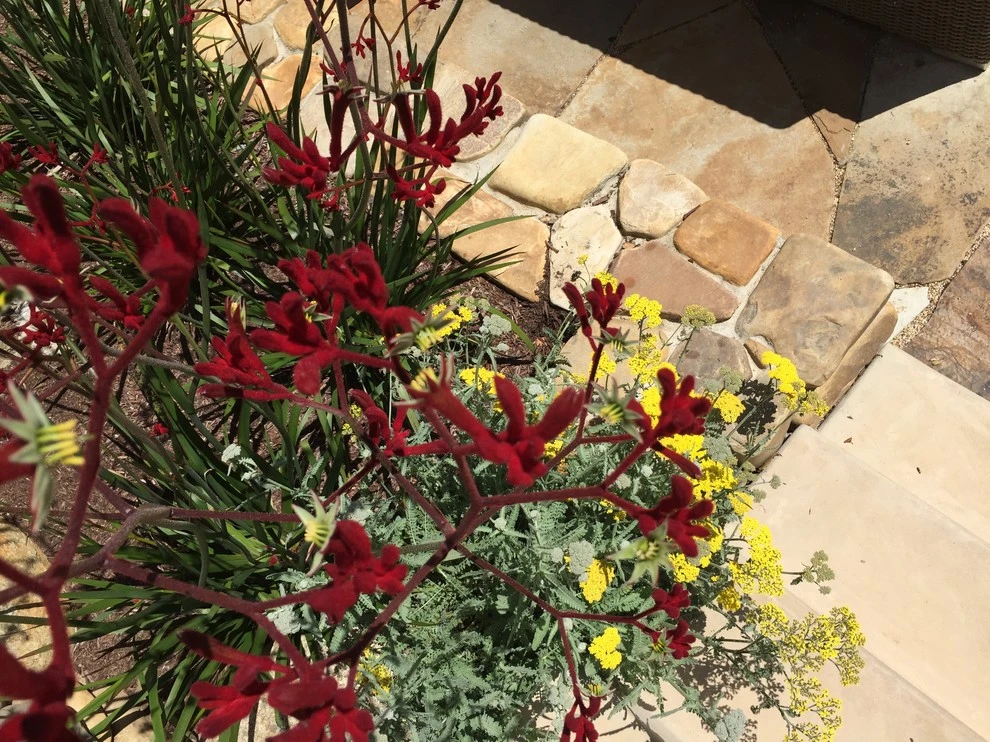 Zen Surf and Turf by Wildflower Landscape Design At K&D Landscaping - Photo 2