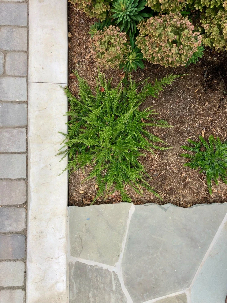 Vibrant Craftsman Cottage by Wildflower Landscape Design At K&D Landscaping - Photo 16
