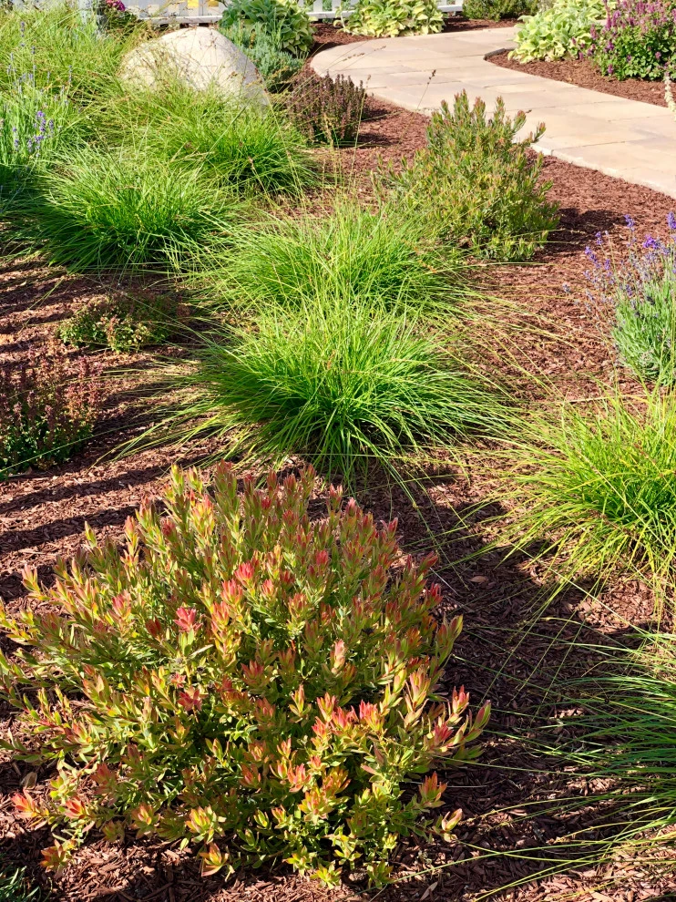 Beachy Victorian by Wildflower Landscape Design At K&D Landscaping - Photo 3