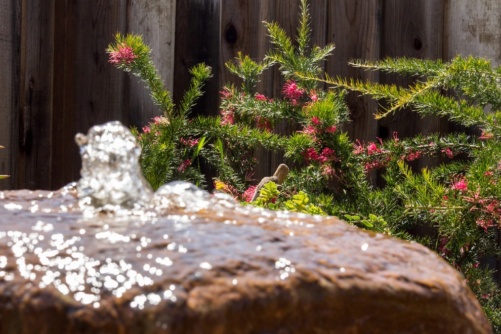 Aptos Townhome by Wildflower Landscape Design At K&D Landscaping - Photo 5