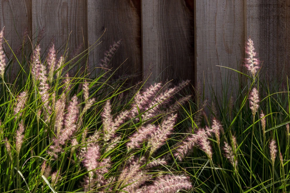 Aptos Townhome by Wildflower Landscape Design At K&D Landscaping - Photo 3
