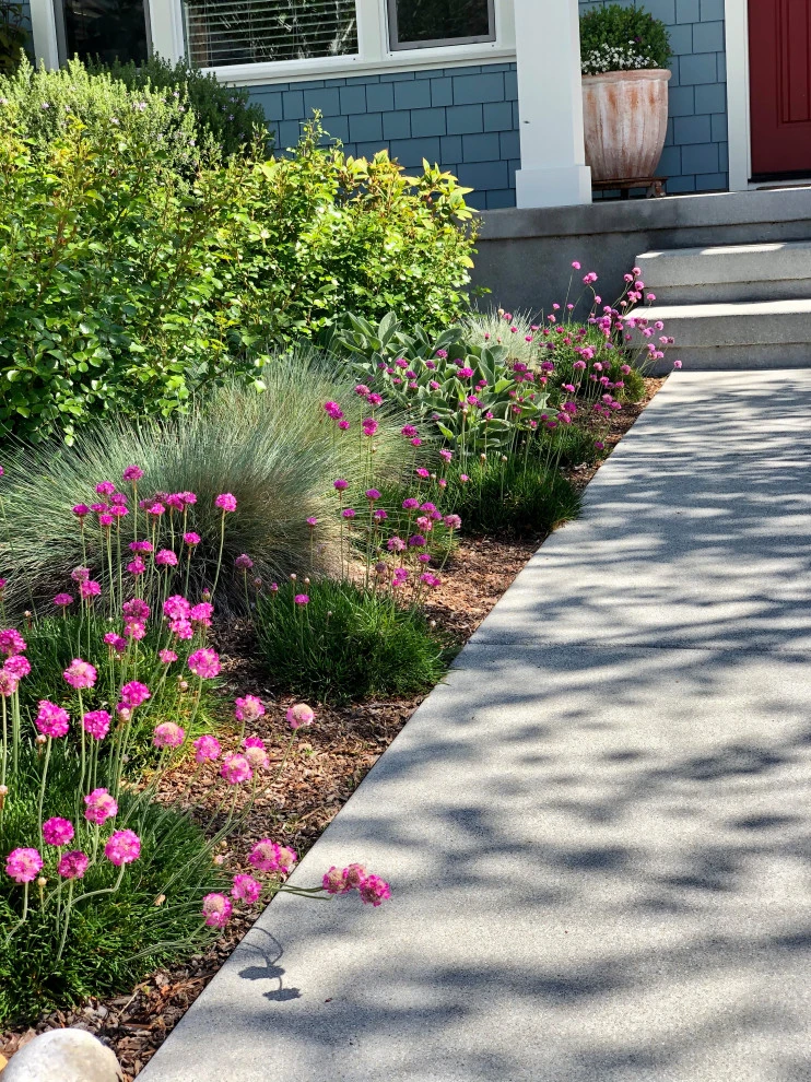 Westside Bungalow by Wildflower Landscape Design At K&D Landscaping - Photo 3