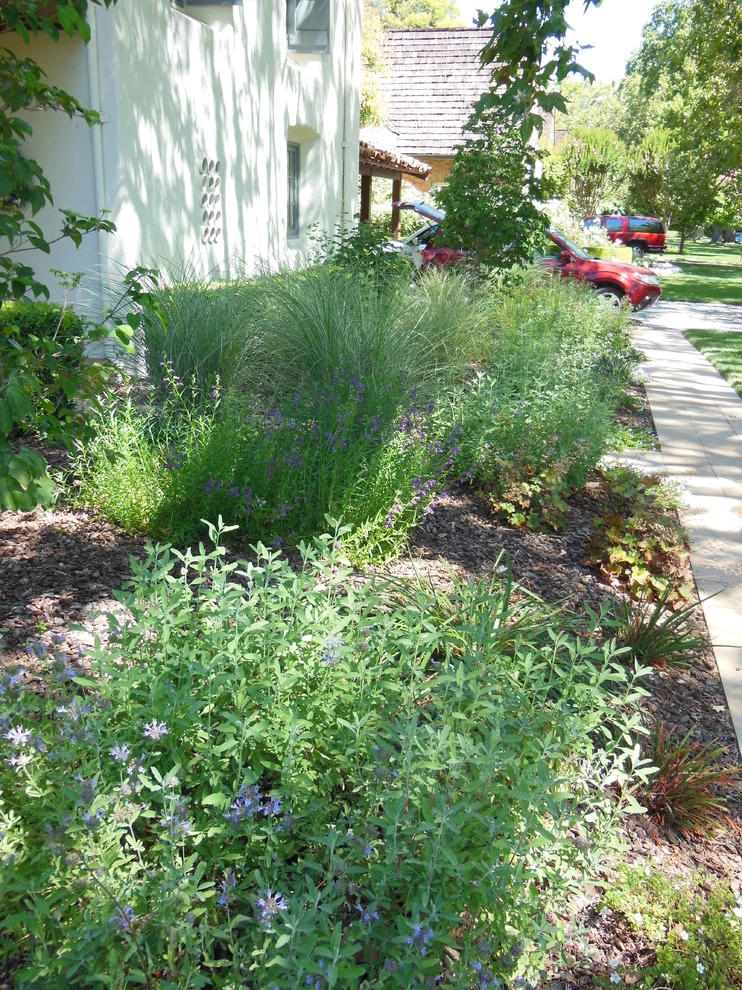 Sacramento Mediterranean-Front Yard by Wildflower Landscape Design At K&D Landscaping - Photo 3