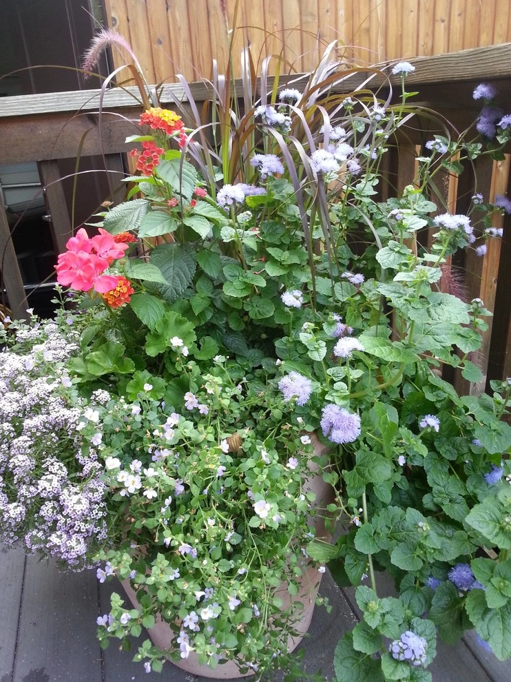 Container Gardens by A Southern Gardener - Photo 18