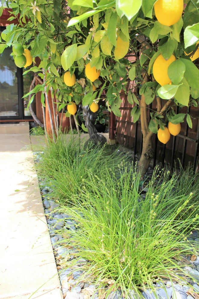 Mountain Retreat by Wildflower Landscape Design At K&D Landscaping - Photo 10