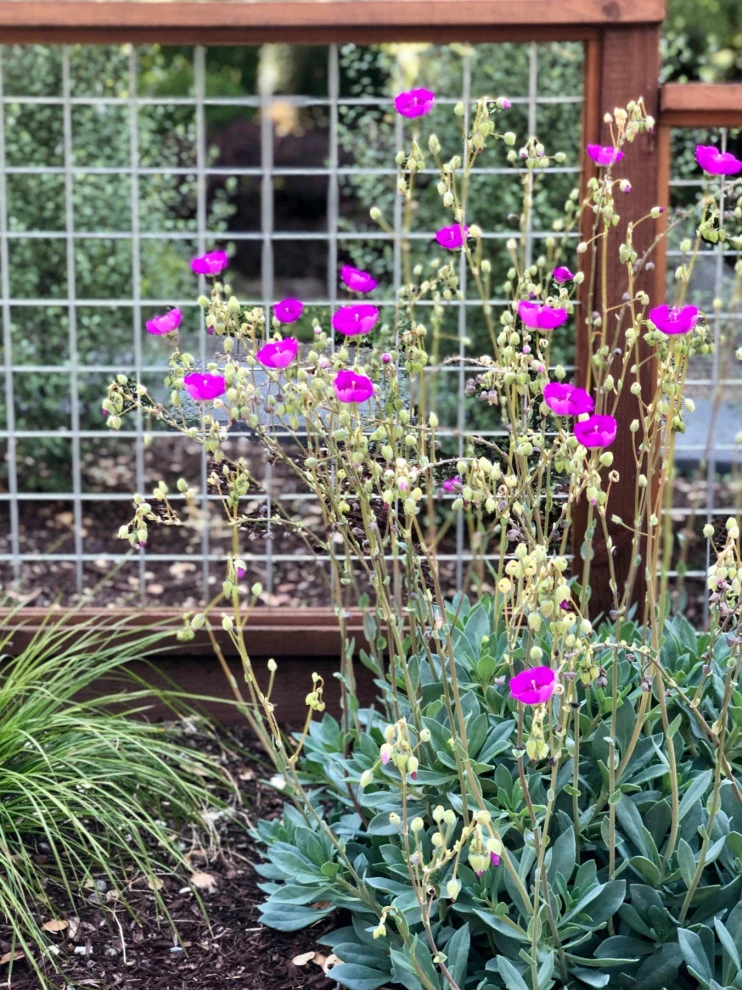 Terraced Hillside Transformation by Wildflower Landscape Design At K&D Landscaping - Photo 21