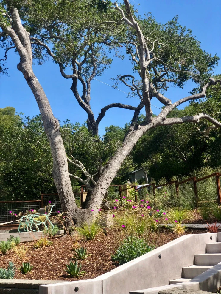Terraced Hillside Transformation by Wildflower Landscape Design At K&D Landscaping - Photo 9