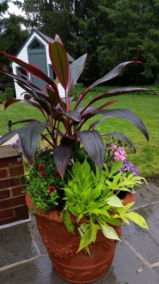 Container Gardens by A Southern Gardener - Photo 20