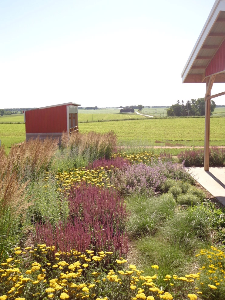 Softened Summer Shelter by Four Of Six Landscape - Photo 3