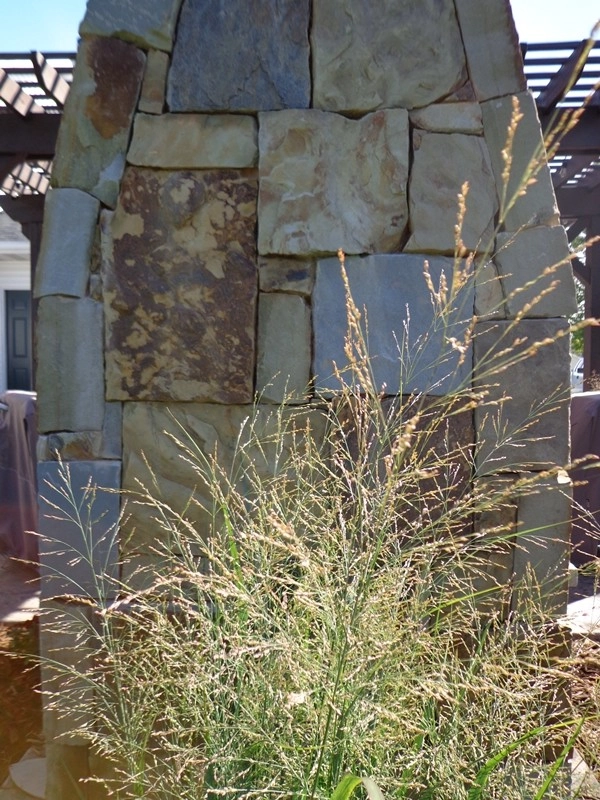 Prairie Pergola by Four Of Six Landscape - Photo 5