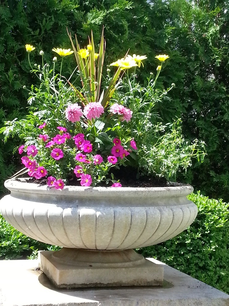 Container Gardens by A Southern Gardener - Photo 27