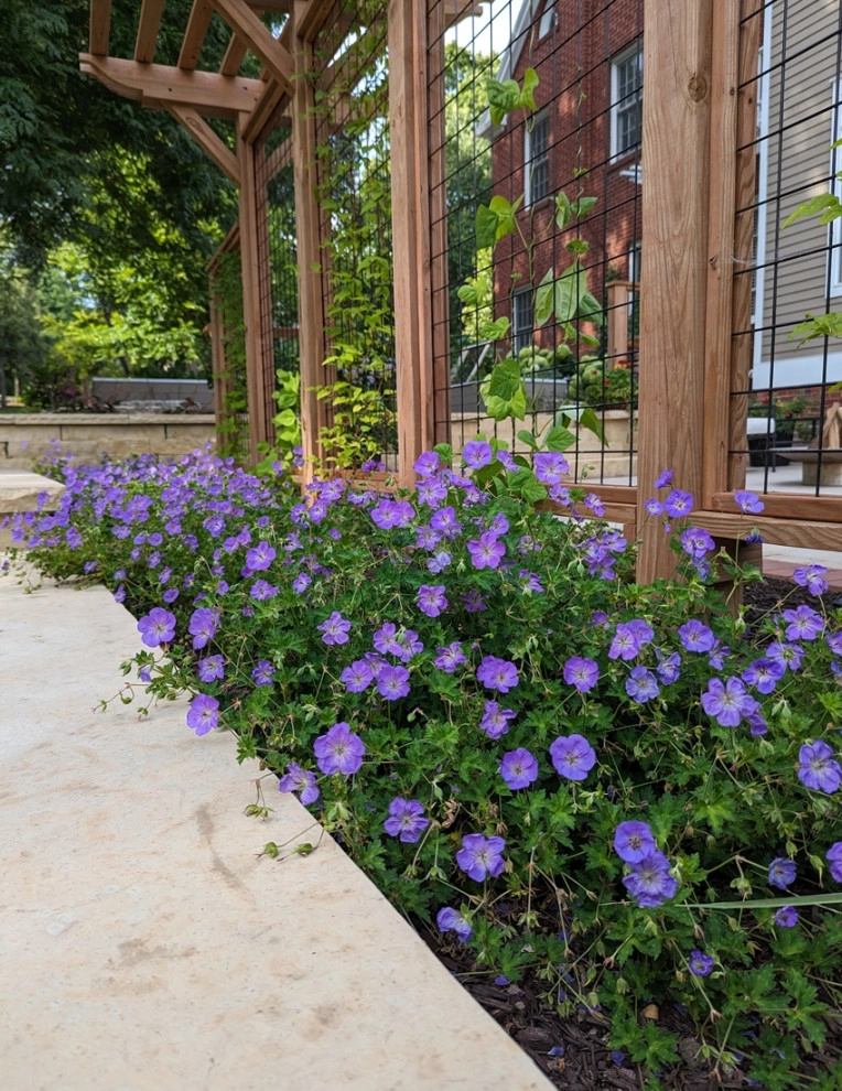 Welcoming Workspace by Four Of Six Landscape - Photo 11