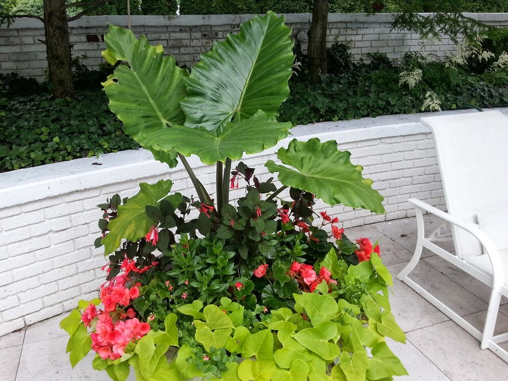 Container Gardens by A Southern Gardener - Photo 5