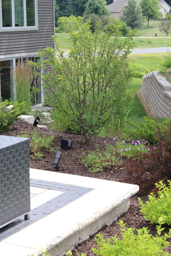 Cool Hued Hangout by Four Of Six Landscape - Photo 7