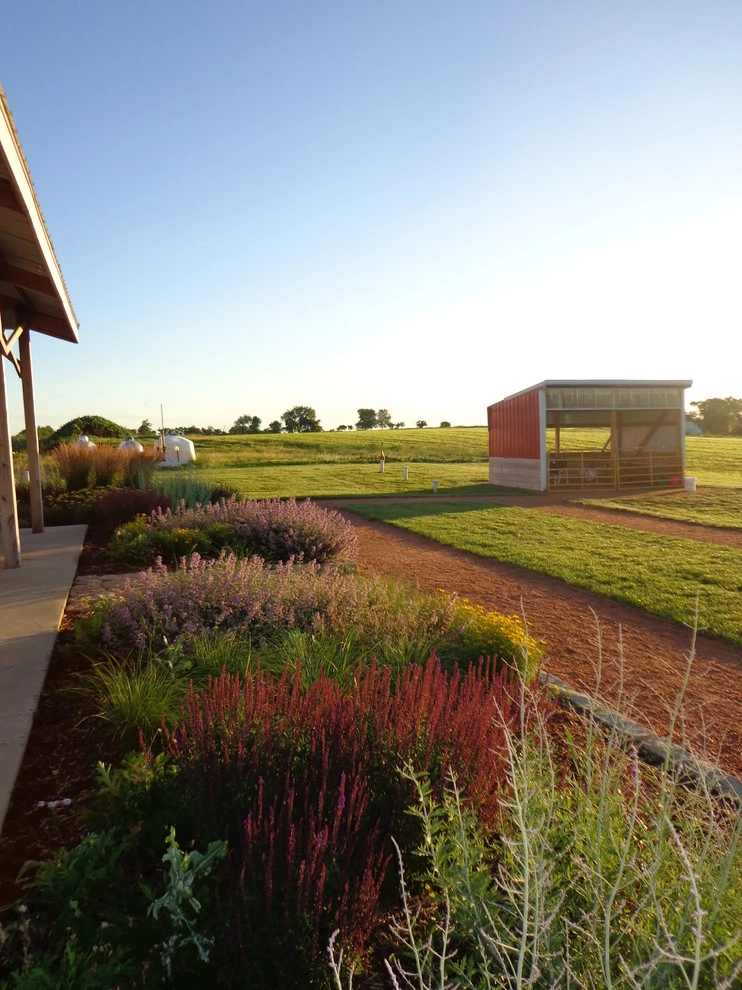 Softened Summer Shelter by Four Of Six Landscape - Photo 6