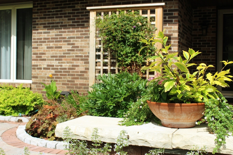 Focused Front Gallery by Four Of Six Landscape - Photo 6