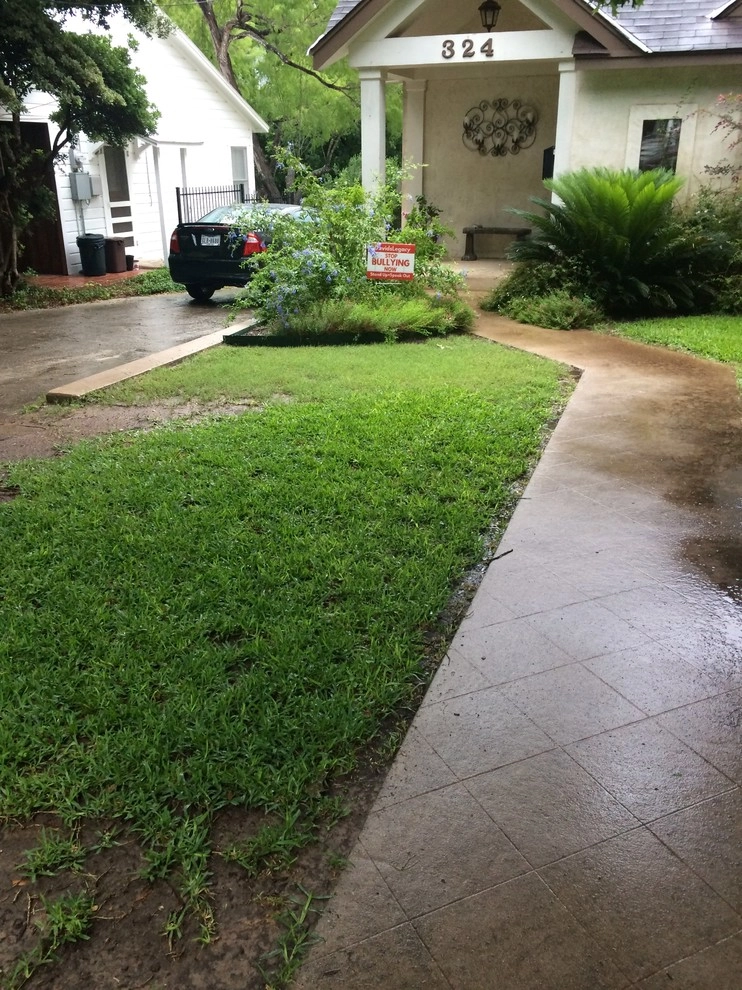 Landscape Design and Installation in Alamo Heights by Four Seasons Botanical - Photo 18