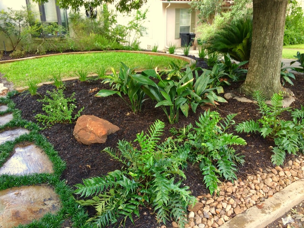Landscape Design and Installation in Alamo Heights by Four Seasons Botanical - Photo 4