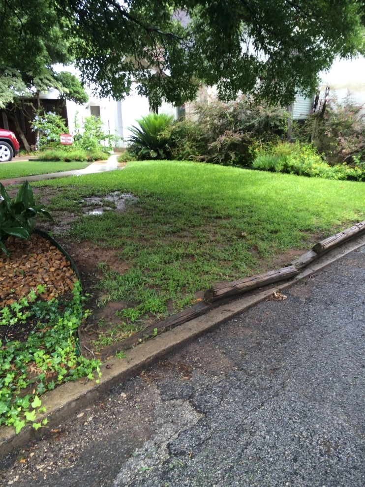 Landscape Design and Installation in Alamo Heights by Four Seasons Botanical - Photo 2