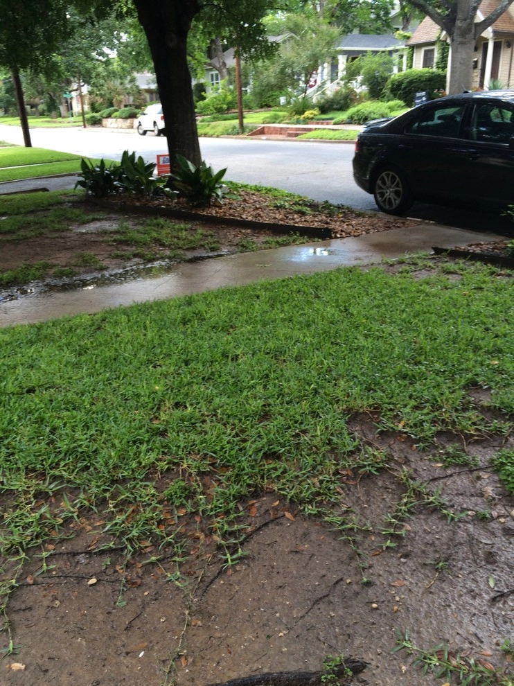 Landscape Design and Installation in Alamo Heights by Four Seasons Botanical - Photo 10