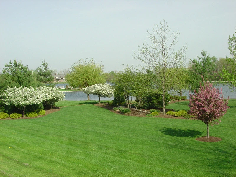 Landscape & Lawn Maintenance by Calvin Landscape LLC - Photo 3