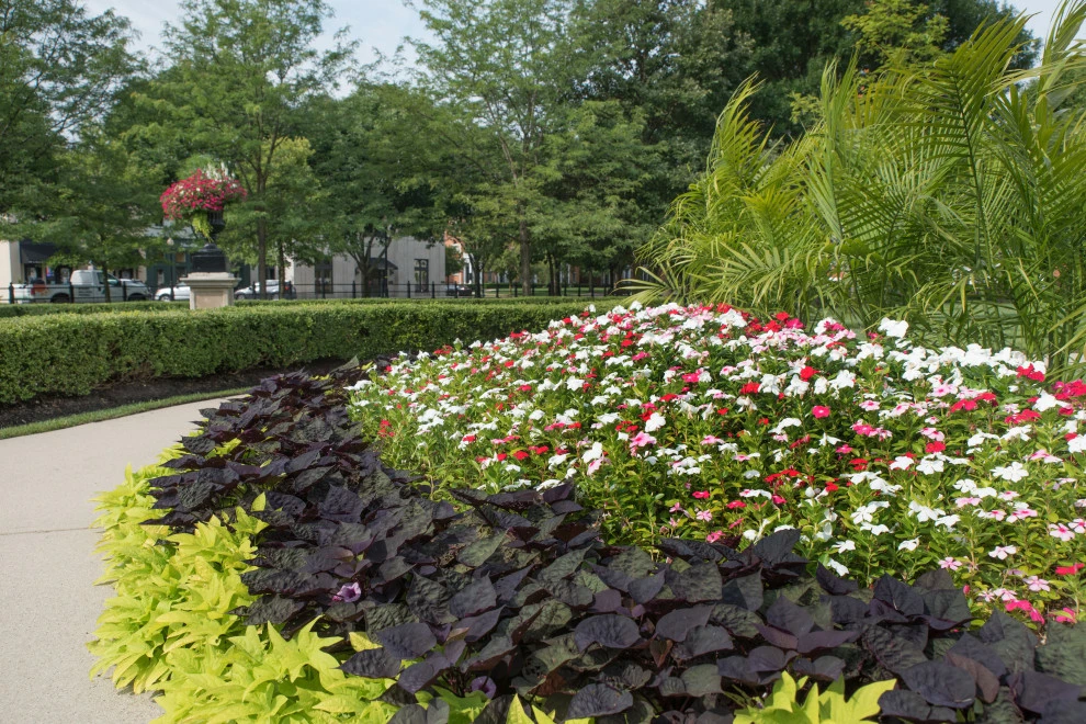 Commercial Landscaping by Calvin Landscape LLC - Photo 3